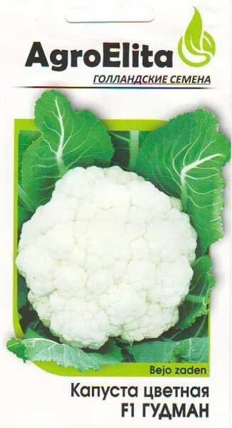 семена ранней капусты голландской селекции. семена голландские производители.