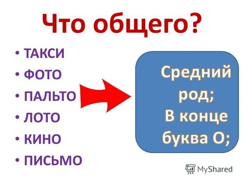 какие слова относятся к женскому роду. в каком ряду все существительные женского рода. род несклоняемых имен существительных. род имен существительных тюль. такси род существительного словосочетание.