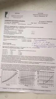 Узи 1 триместра форум