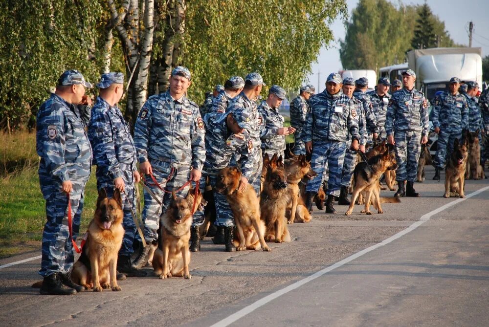 Форма кинолога. Бесплатный кинолог