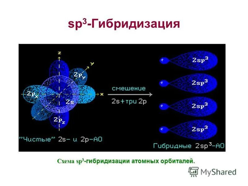 Гибридизация атомных орбиталей SP, sp2 sp3. Sp3 sp2 SP гибридизация углерода. Sp2 гибридизация орбиталей алкадиены. Гибридизация орбиталей (SP-, sp2 -, sp3 -).