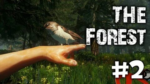1 forest 2