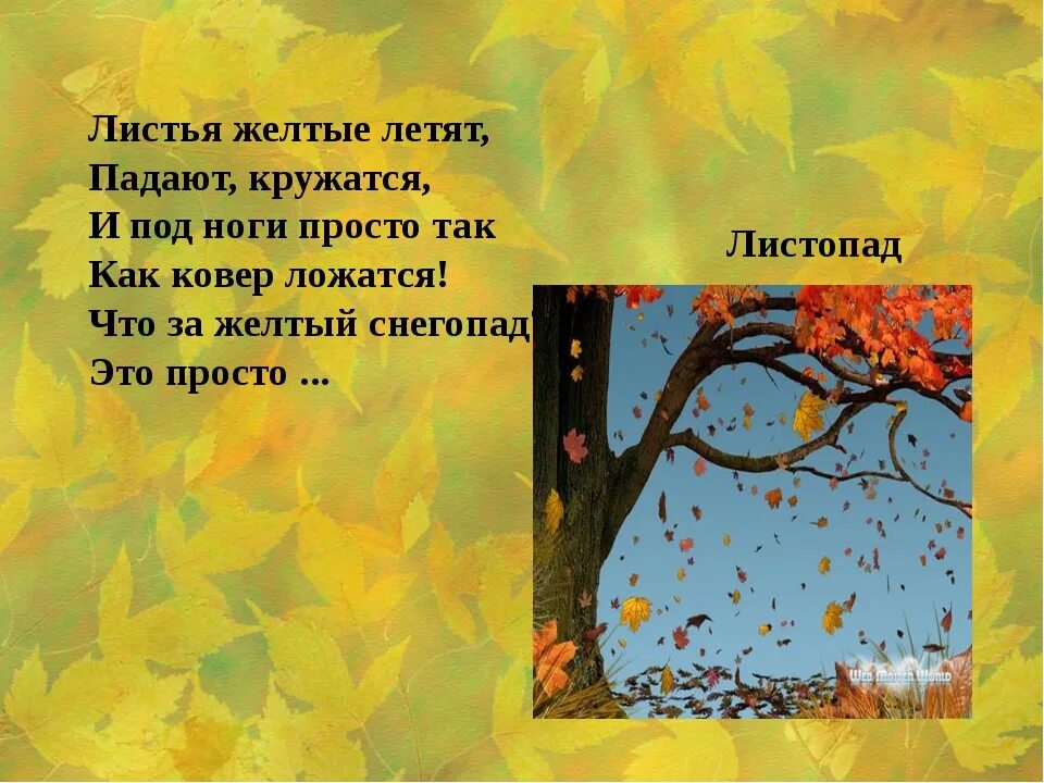 Стих листья дерева. Стихи про осенние листья. Стихи про осенние листочки. Стихи про листья для детей. Стихотворение на тему листопад.