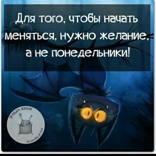 Смешные умные картинки