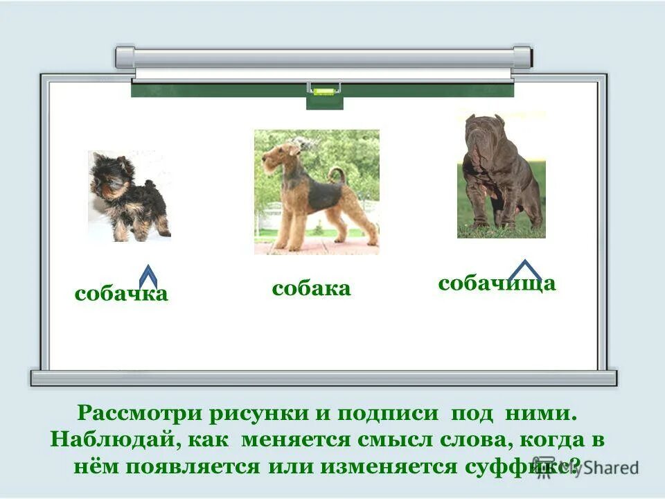 Таблица суффиксов русского языка для начальной школы. Что такое суффикс 4 класс по русскому языку. Проверочное слово к слову собака. Правописание суффиксов ец иц в существительных. Слова с суффиксом к.
