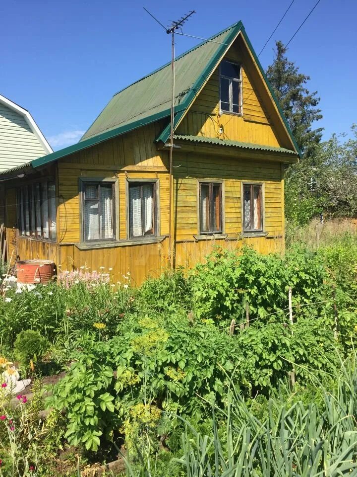 Дачи в твери. СНТ вперед Тверь. СНТ вперёд сайт.