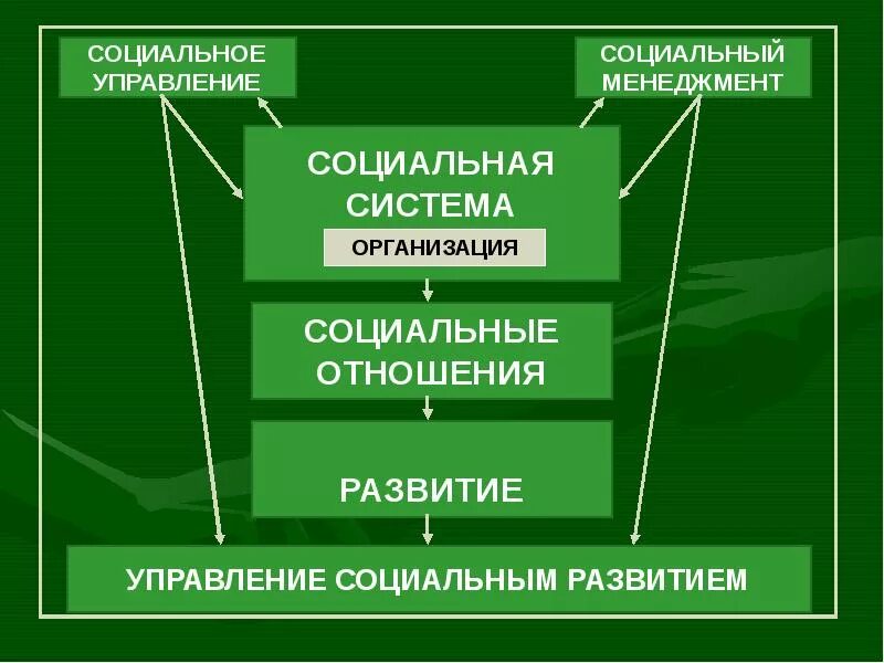 Социальное управление современным обществом. Социальное развитие организации. Управление социальным развитием. Процесс управления социальным развитием. Развитие управления социальными процессами в организации.