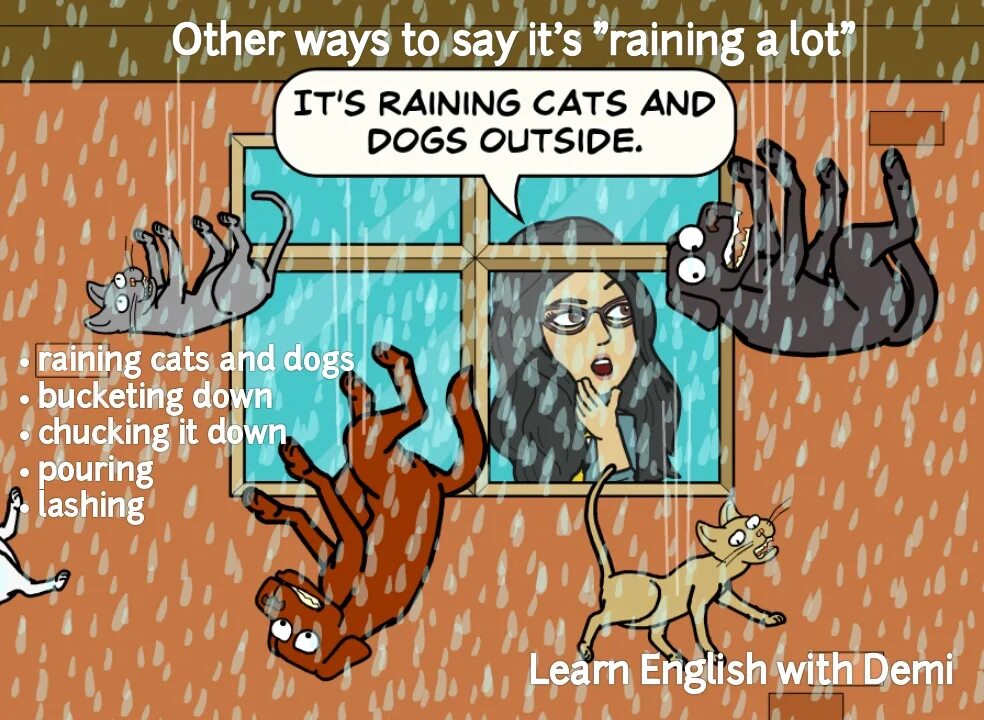 Идиома it's raining Cats and Dogs. Raining Cats and Dogs идиома. Rain Cats and Dogs идиома. It Rains Cats and Dogs. It has rained a lot