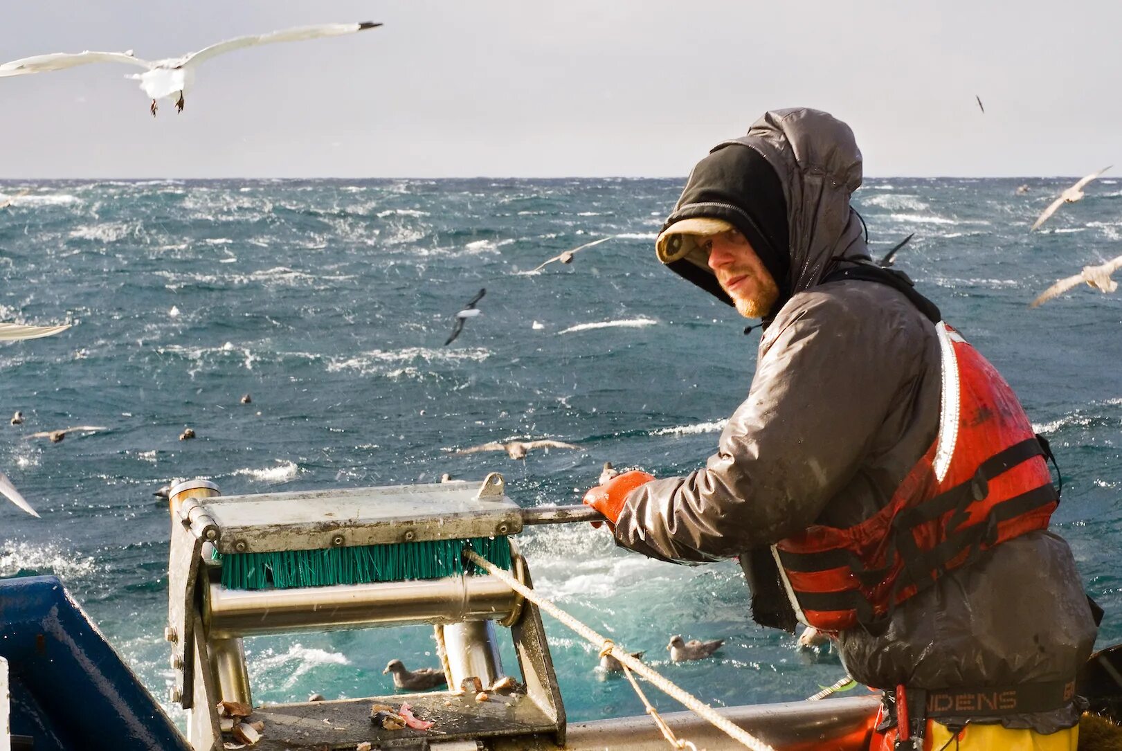 Моряк рыбак море. Охотское море рыболовство. Балтийское море промышленный лов рыбы. Промысел рыбы. Рыбаки на корабле.