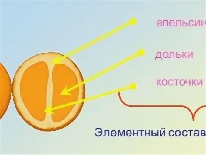 Вес кожуры апельсина. Сколько грамм в апельсине. Апельсин вес 1 штуки без кожуры. Вес среднего апельсина. Сколько весит апельсин без кожуры.