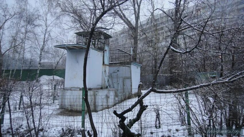 Голубятня в орехове. Голубятня в орехове