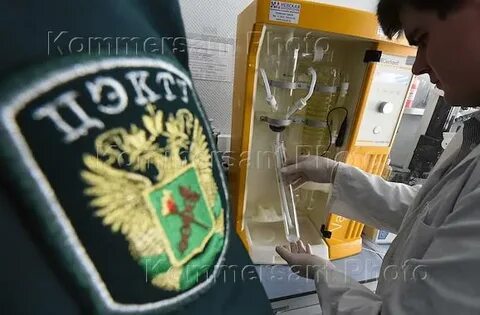 Главное управление экспертизы