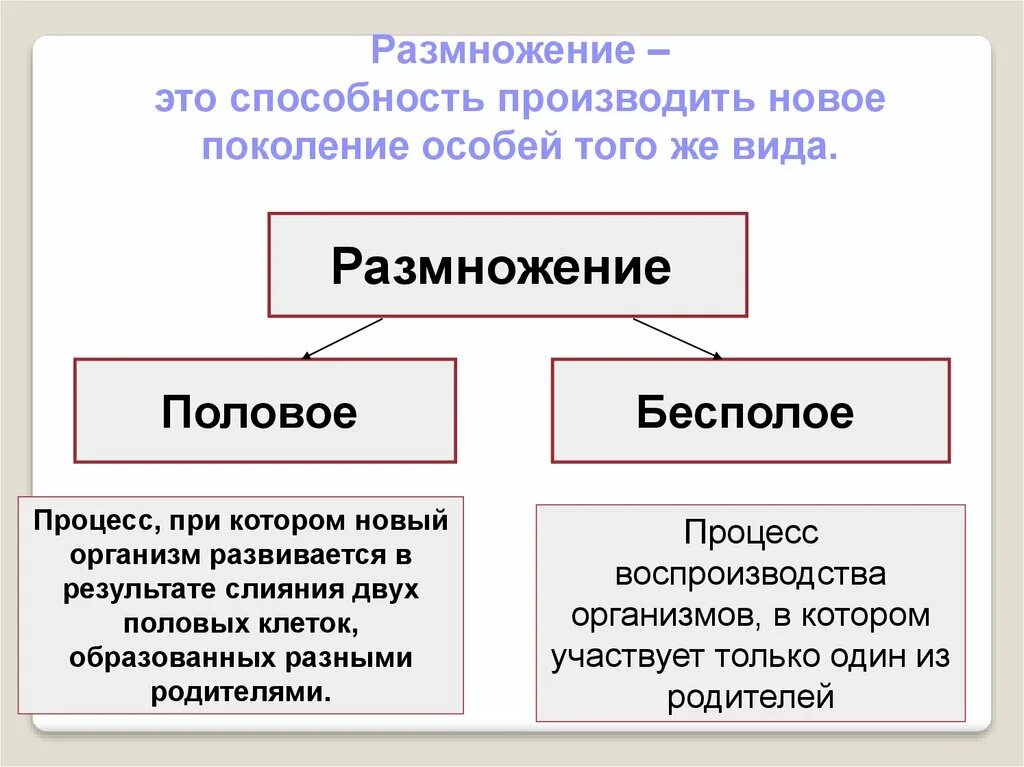 Размножение 2 способами людей. Размножение. Половое и бесполое размножение. Типы размножения половое и бесполое. Виды бесполого размножения.