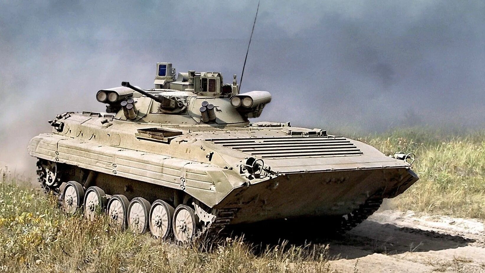 Bmp ms