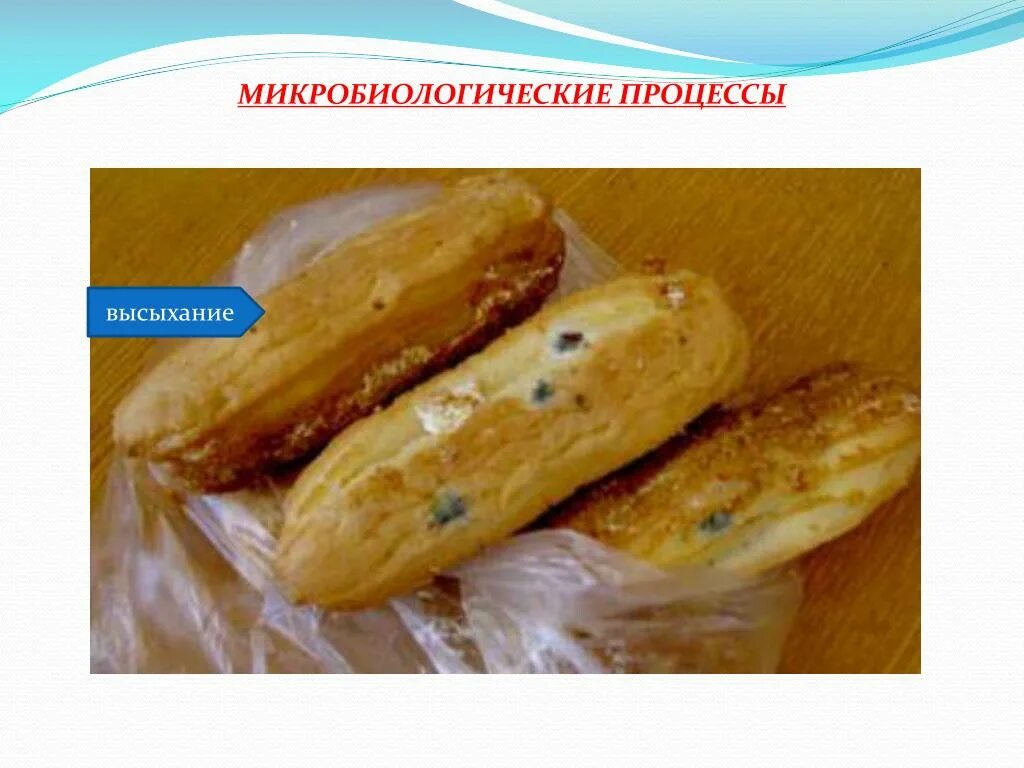 Процессы продуктов при хранении. Микробиологические процессы. микробиологические процессы при хранении продовольственных товаров. микробиологические процессы, происходящие при хранении товаров.