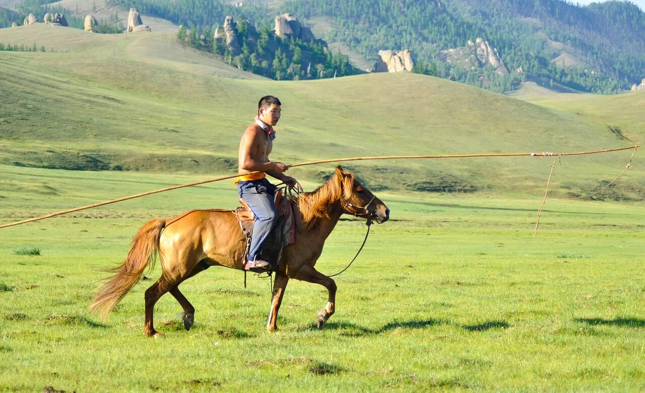 Монгольский ковбой. Пастух на лошади. Пастух на коне. Табунщик на лошади. Лошади Пастухов.