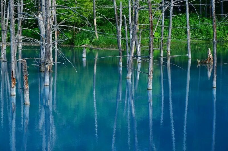 Япония. Япония. Голубой пруд биэй, япония. Озеро хоккайдо япония. Пруд биэй япония.