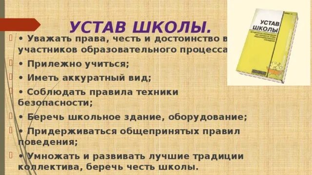 Зачем устав. Устав школы. Соблюдение устава школы. Устав школьника. Устав правил школы.