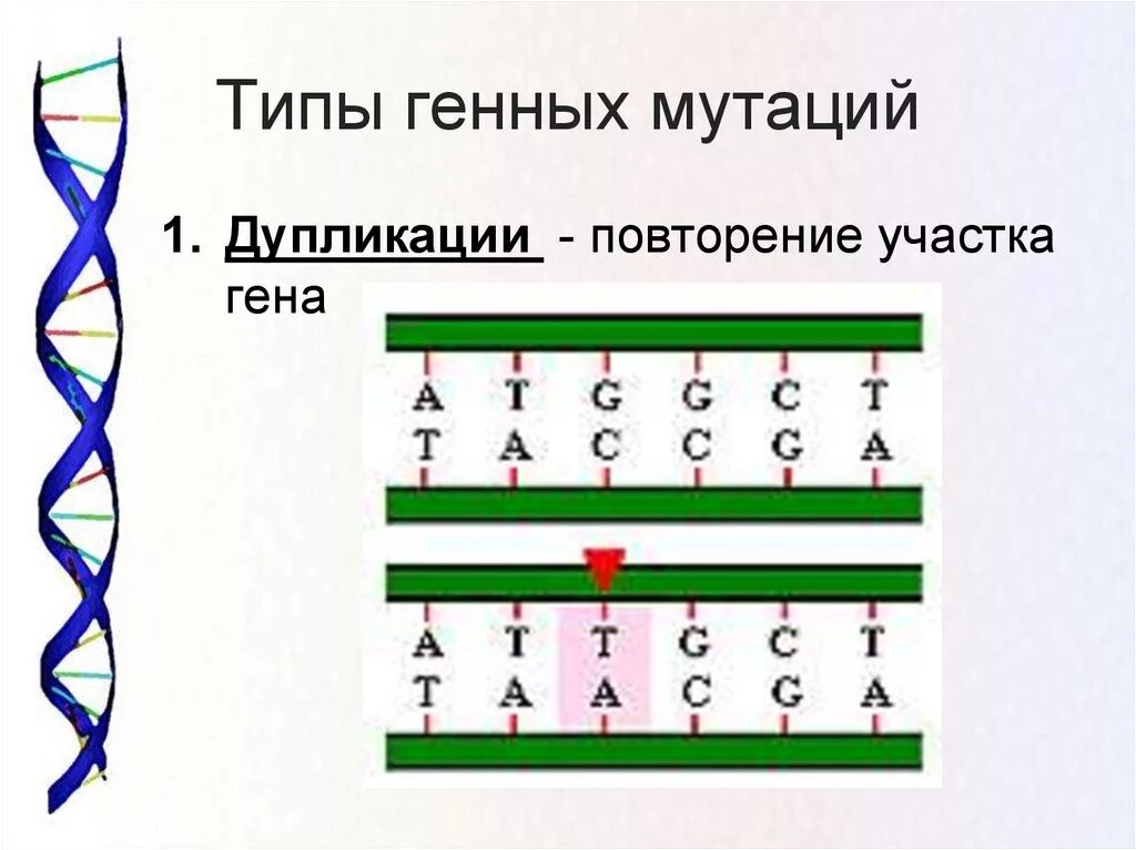 Мутирование генов