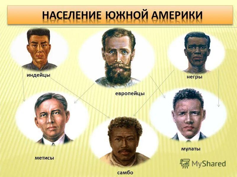 Креолы это смесь каких рас. Расы Южной Америки. Метисы Мулаты самбо. Смешанные расы Южной Америки. Смешанные расы Латинской Америки.