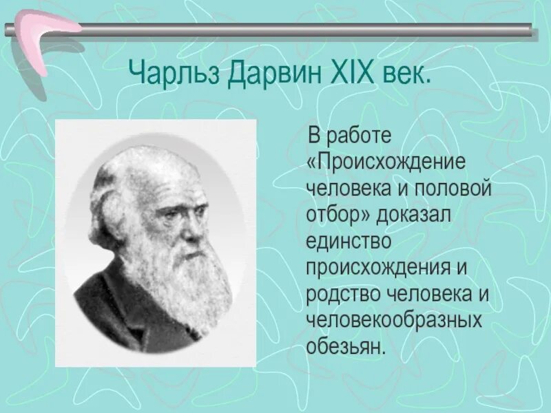 Почему идея полового отбора выдвинутая чарльзом дарвином. Почему идея полового отбора выдвинутая чарльзом дарвином