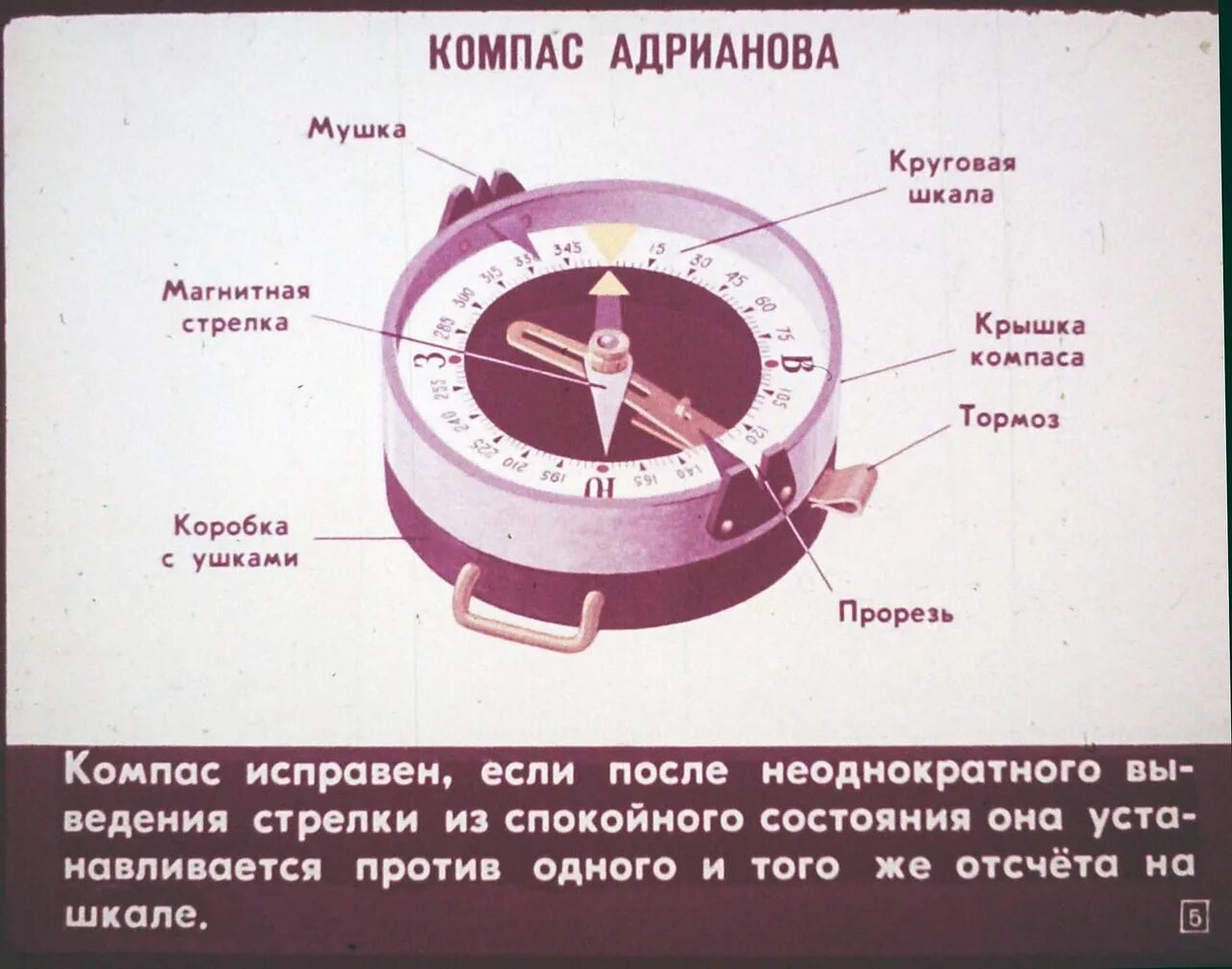 Если поднести компас. Компас Адрианова состоит из. Компас Адрианова rs50. Компас Адрианова строение. Строение компаса.