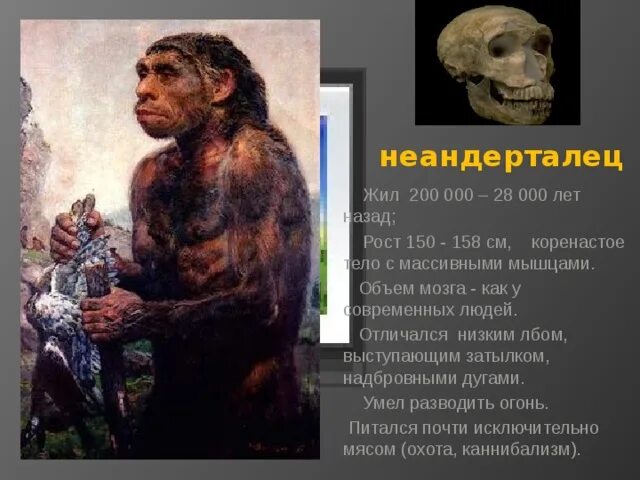 Человек живший 200 лет. Объём мозга неандертальца. Люди которые прожили 200 лет.