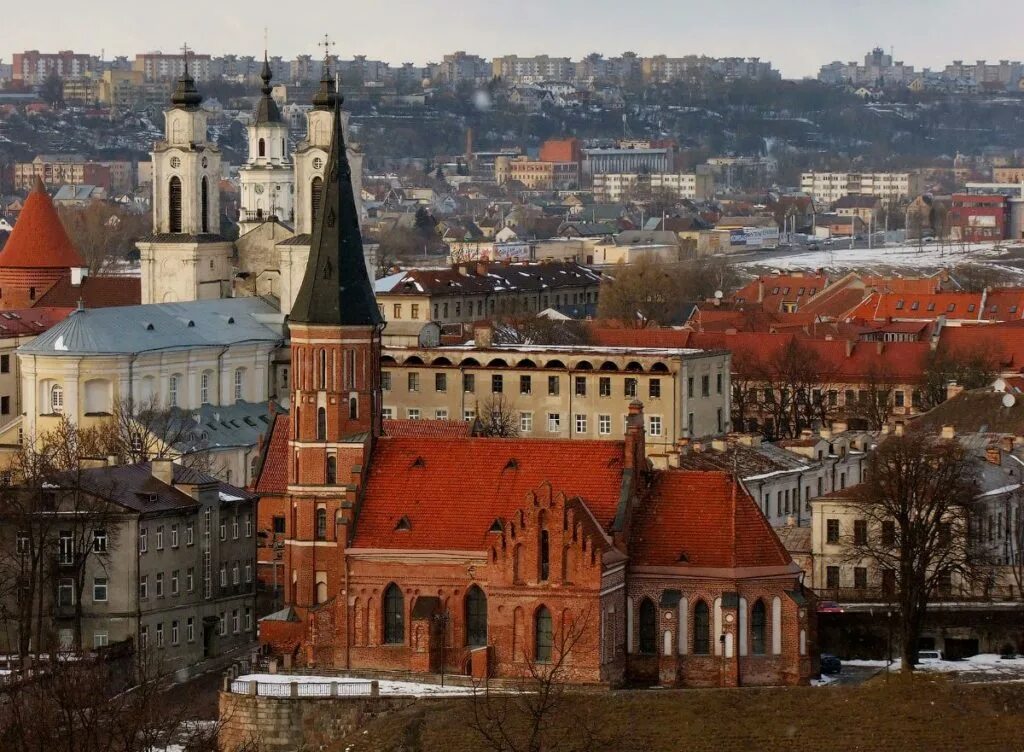 Литва вильнюс. Литва в июле. Литва флаг правительство. Литва народ. Литва и россия.