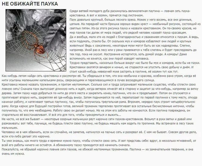 Сколько за жизнь человек съедает пауков