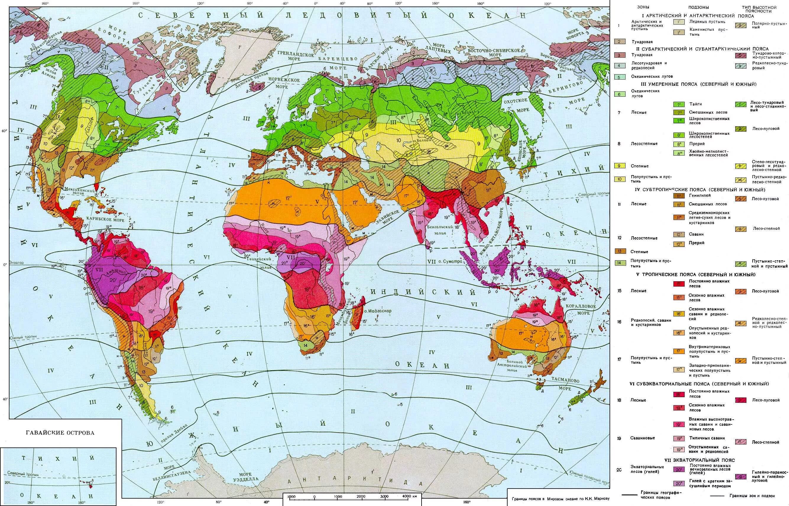 Растительность природных зон земли биология. Карта географических поясов и природных зон.