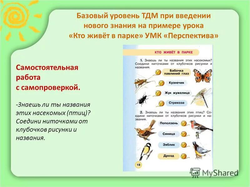 кто живет в парке 1 класс перспектива. окружающий мир 1 класс рабочая тетрадь 1 часть плешаков ответы стр 52-53. перелетные и неперелетные птицы. окружающий мир части птицы. зимующие птицы соедини.