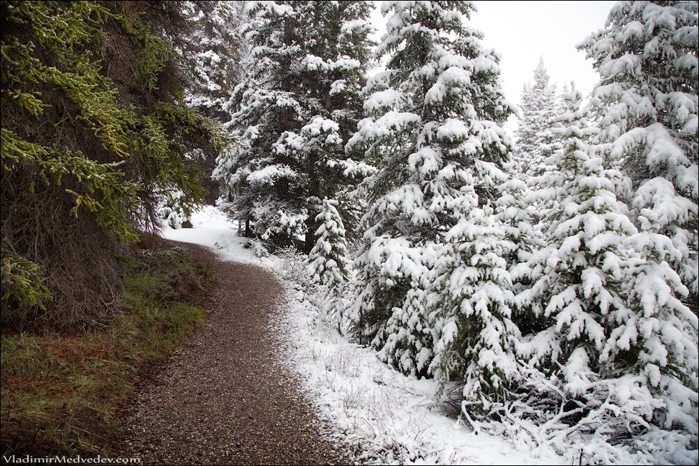 граница зимы и лета. из зимы в лето. граница зимы и лета. зима весна. весна зимой.