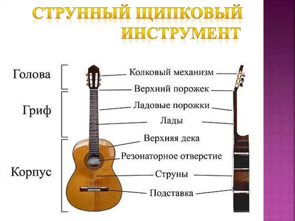 Строение акустической гитары 6-ти струнной. Классическая гитара вид сбоку. Гитара строение гитары классической. Строение гитары акустической. Звуки 6 струнной гитары