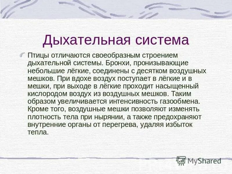 Дыхательная система птиц строение и функции