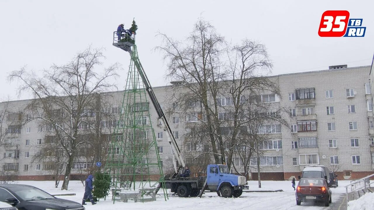 Елка череповец. Елка в череповце. череповец елка на площади. в череповце убирают елки. парк 200 летия череповец фото.