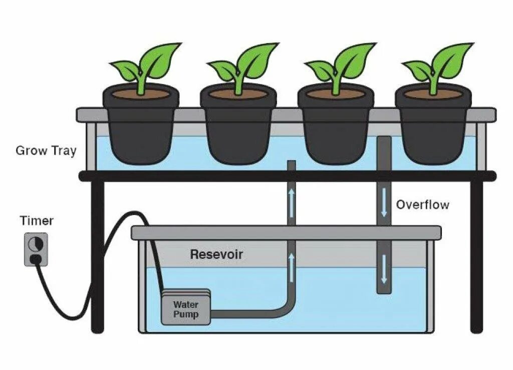 DWC гидропонная система схема. Система NFT гидропоника схема. Гидропонная система DWC чертежи. Фитильный полив гидропоника. Nft как работает