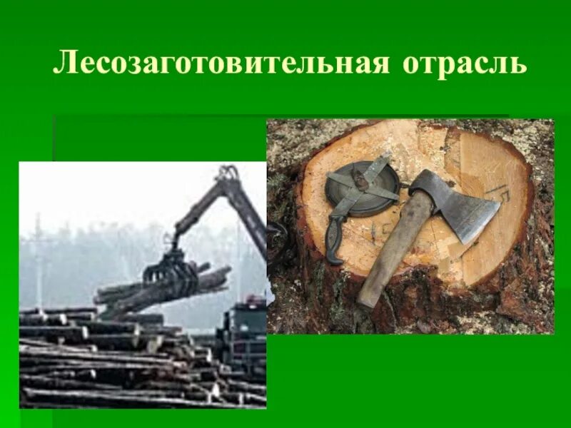 Информация о профессиях лесозаготовительными работами. Лесозаготовительные профессии. о профессиях,связанных с лесозаготовительными работами. профессии лесозаготовительных работ. профессии связанные с лесозаготовительными работами.