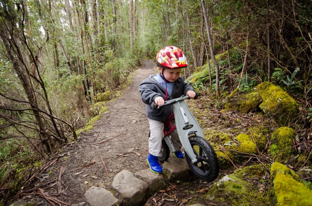 Дети катаются на беговеле. Беговел FIRSTBIKE. Велосипед Forest Kids. Мужчины на беговелах. Беговел с педалями фото.