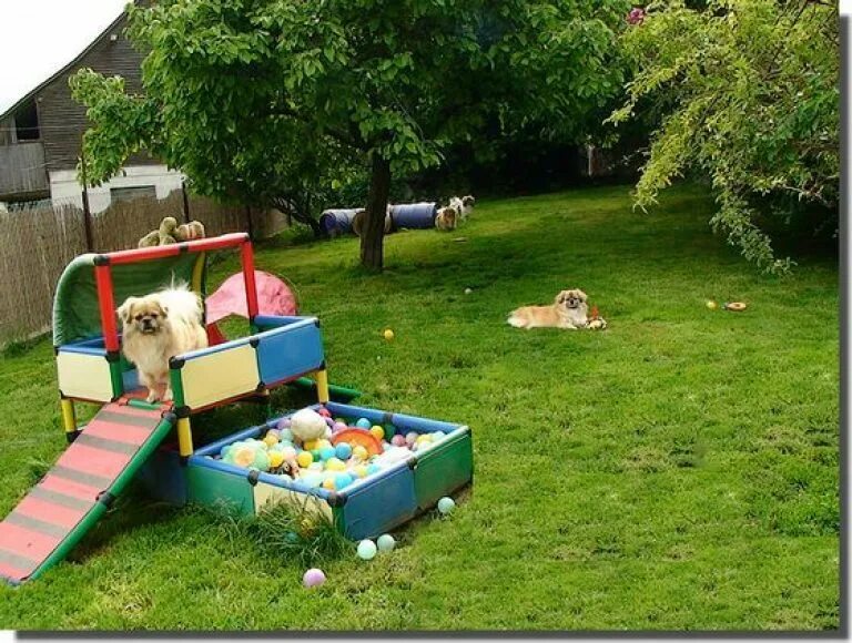 Садик для собак. Мягкие игрушки во дворе. Детский садик для собак. Детский сад для щенков.