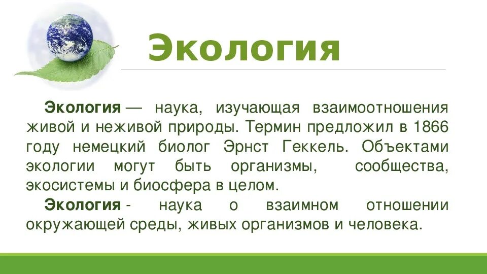 Презентация на тему экология. Экология презентация 3 класс. Экология это 3 класс. Экология доклад 3 класс окружающий мир.