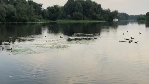 Температура в десне брянск сегодня