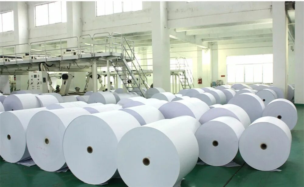 бумага в рулонах для производства. целлюлоза в рулонах. бумага в рулонах для производства. целлюлоза для производства бумаги. рулон бумаги.