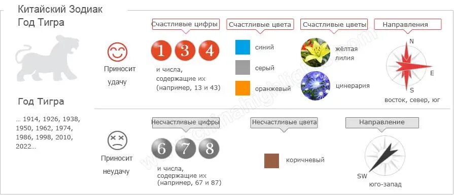 Год тигра цвета. Год тигра 2022 характеристика. 2022 Год символ какого животного. Год тигра 2022 какого числа.