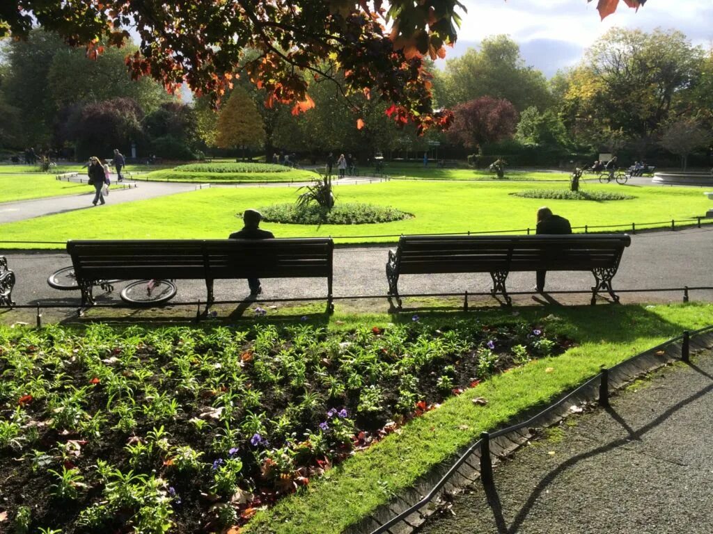 Парк ирландии. Ирландский сад. Национальный парк килларни killarney national park. Озёра килларни ирландия. Парк ирландия.