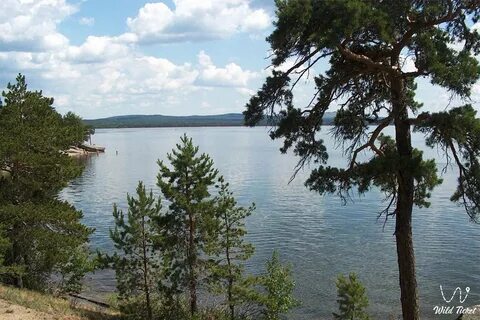 Боровое новосибирская