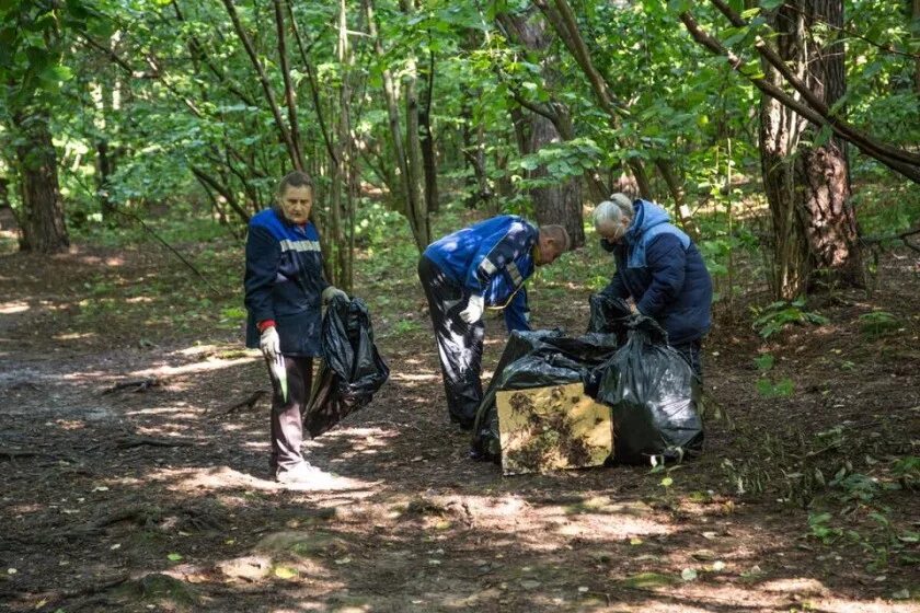 Губайловский. Губайловский парк. Губайловский парк в Красногорске карта. Старые фото Губайловский лес.