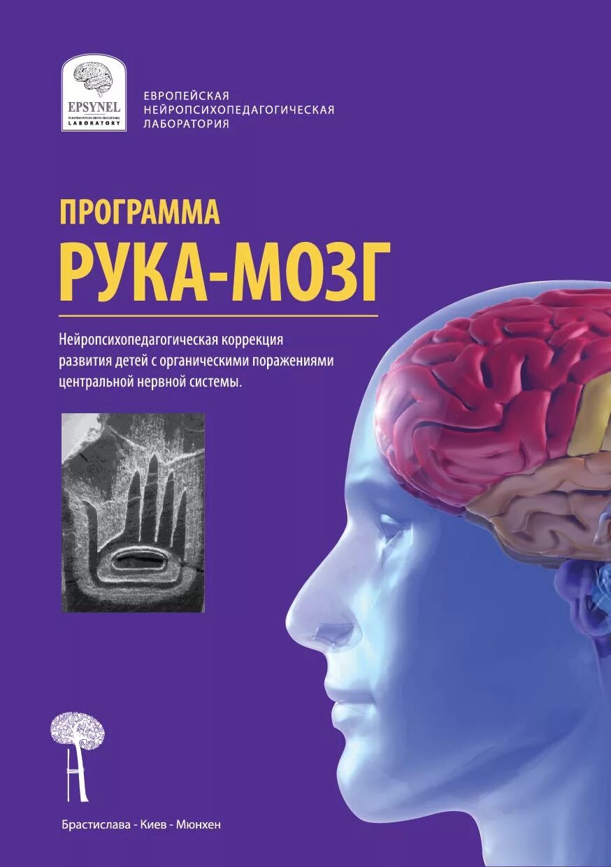 Книга мозг. Программа рука мозг. Книга для развития мозга. Занятия для развития мозга. Пальцы рук и мозг