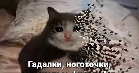Что же ты наделал я тебя ждала