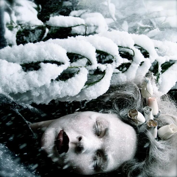 The snow fell