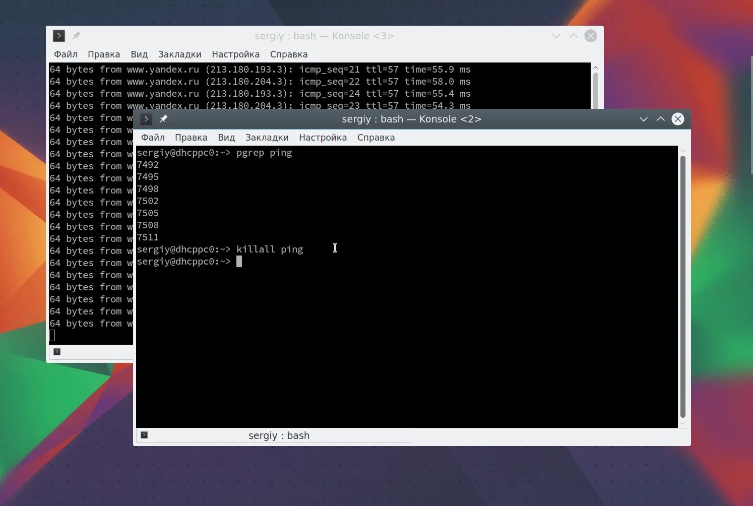 Pgrep linux. Команда ping в linux. пинг на линуксе команда. процессы linux. linux команда для вывода процессов в консоли.